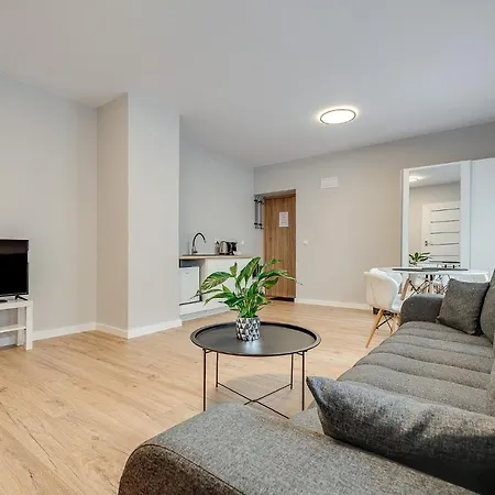 Platinum 21 Apartmán Rybnik (Silesia)