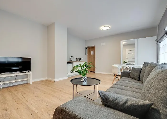 Platinum 21 Apartmán Rybnik (Silesia)